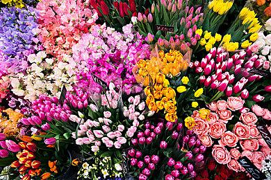 第一人称恐怖游戏新作《千代》将于第四季度发售