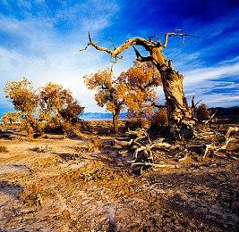 帧率还是画面？PS5 Pro想两者都要